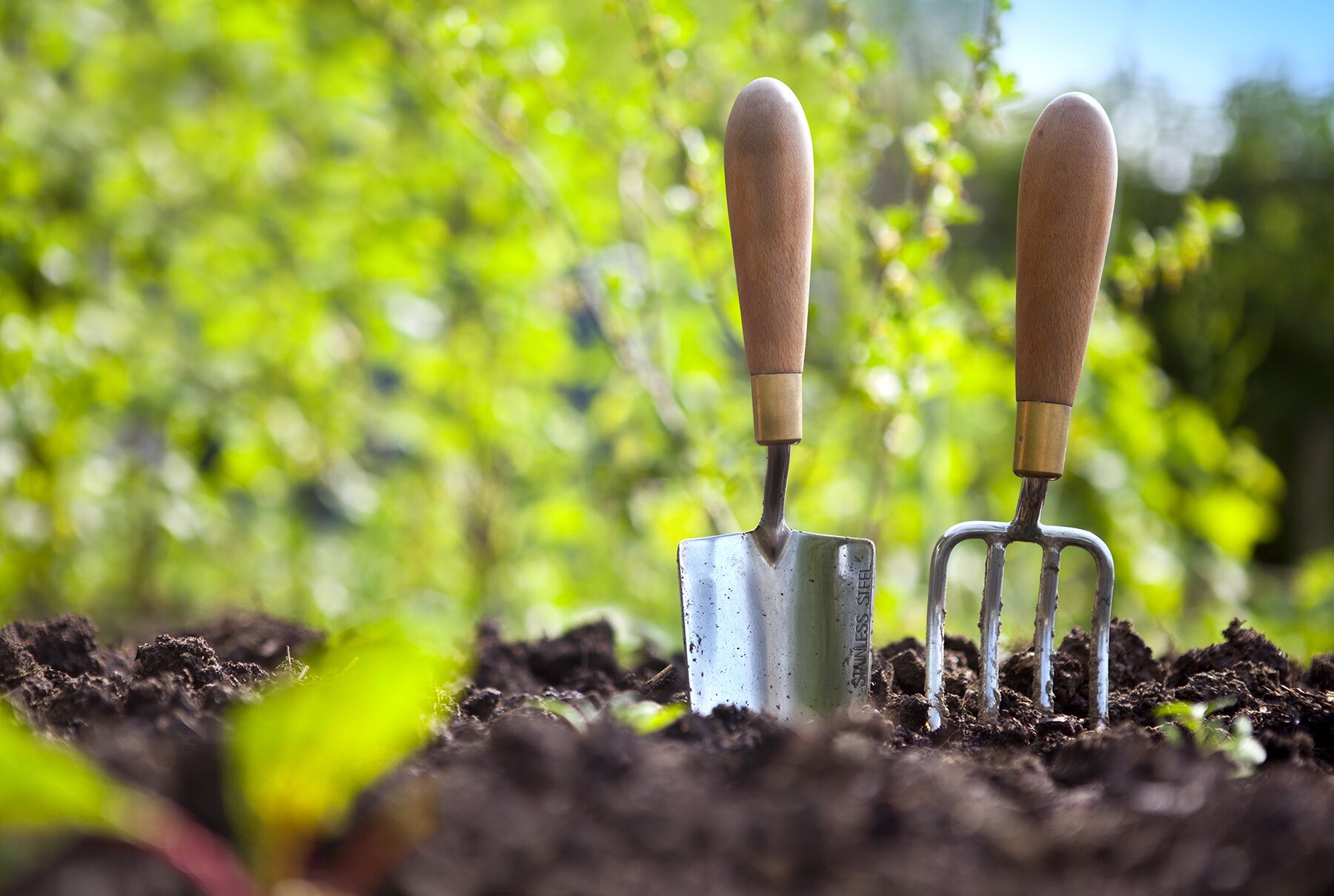 why-is-gardening-important-bamboo-garden